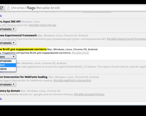 Новый алгоритм сжатия данных сделает Chrome ещё быстрее